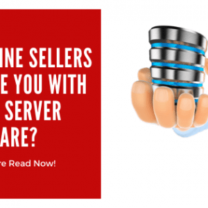 Do online Sellers provide you with better Server Hardware?