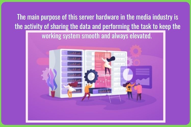 What is the purpose of Server hardware?
